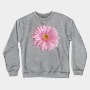 Pink Gerbera Floral Photo Crewneck Sweatshirt